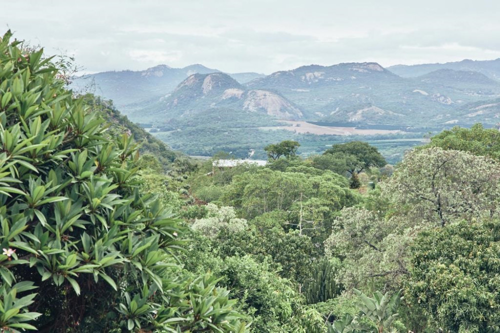 Vacation Hub International - VHI - Travel Club - Leopard Tree Retreat