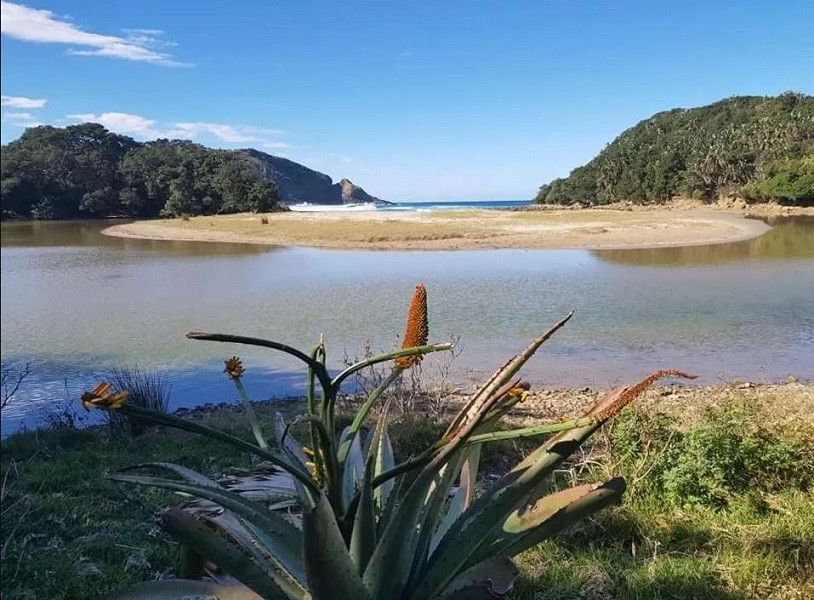 Vacation Hub International - VHI - Travel Club - Ikaya Accommodation Psj