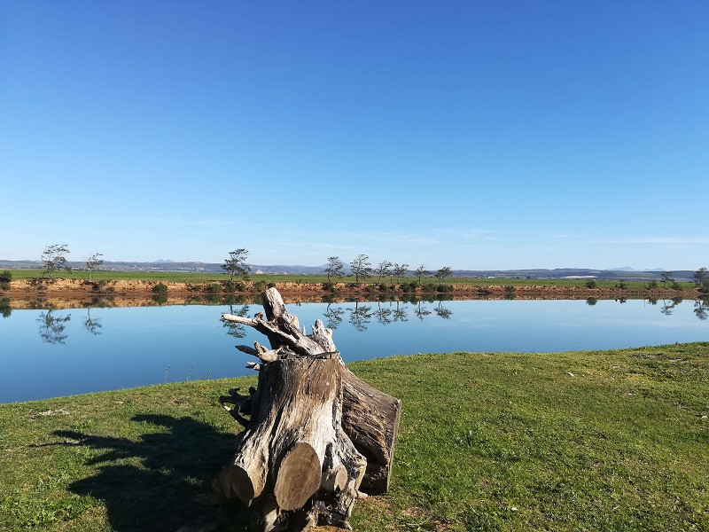 Vacation Hub International - VHI - Travel Club - The Ferry Hotel Gamtoos Caravan park
