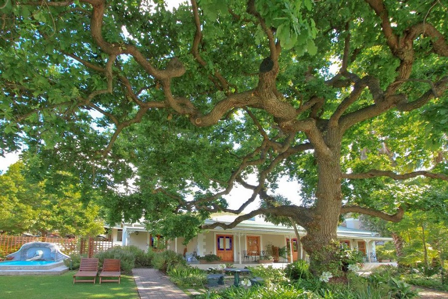 Vacation Hub International - VHI - Travel Club - Montagu Vines Guesthouse