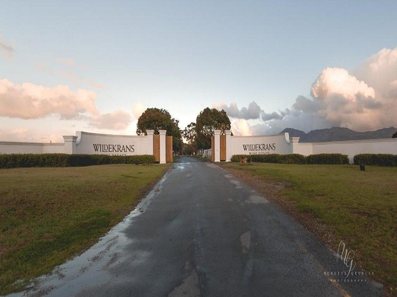 Vacation Hub International - VHI - Travel Club - Endless Vineyards at Wildekrans Wine Estate