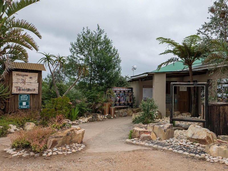 Vacation Hub International - VHI - Travel Club - Tenikwa Wildlife Centre
