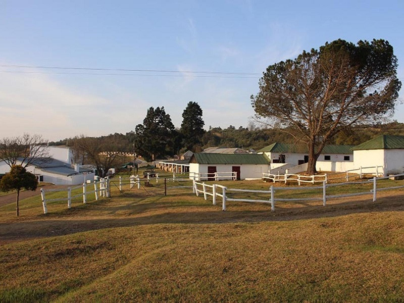 Vacation Hub International - VHI - Travel Club - Sierra Ranch