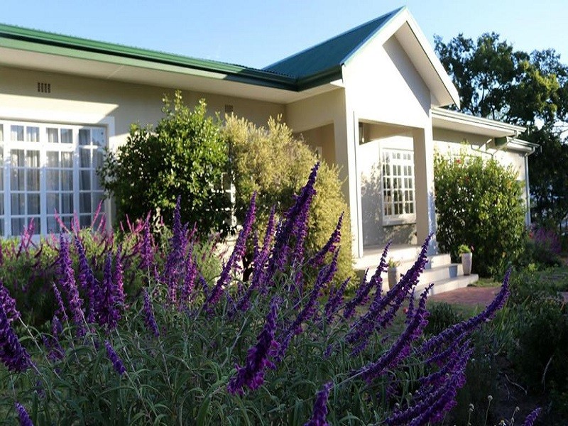 Vacation Hub International - VHI - Travel Club - Daisy Place