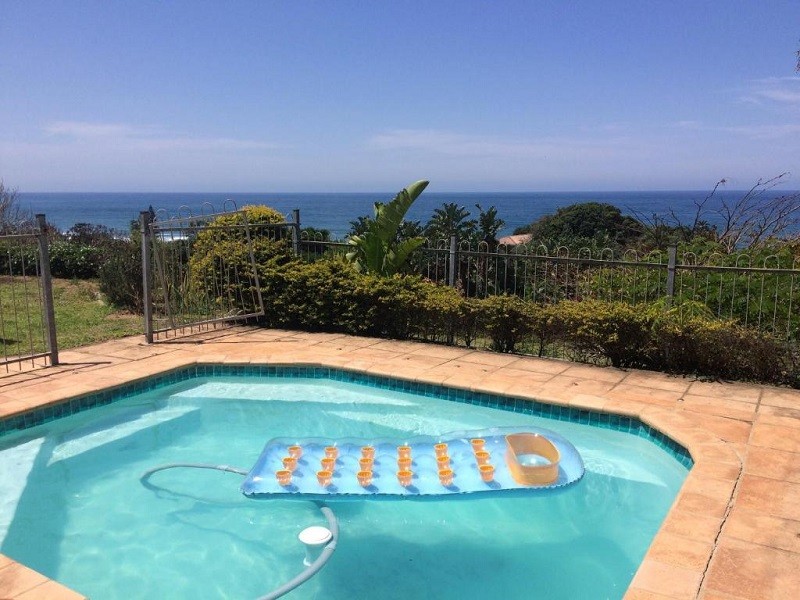 Vacation Hub International - VHI - Travel Club - Whales' View