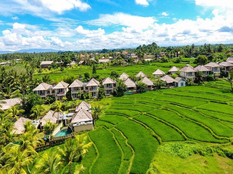 Vacation Hub International - VHI - Travel Club - Atta Mesari Ubud