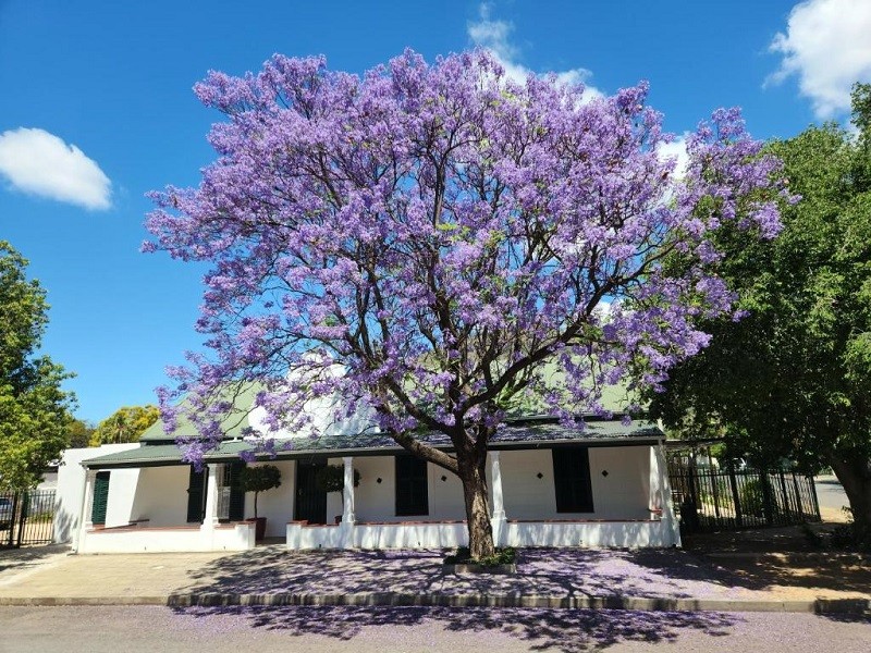 Vacation Hub International - VHI - Travel Club - Die Dorpshuis Graaff Reinet