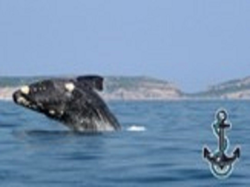 Vacation Hub International - VHI - Travel Club - Anchored In Plett