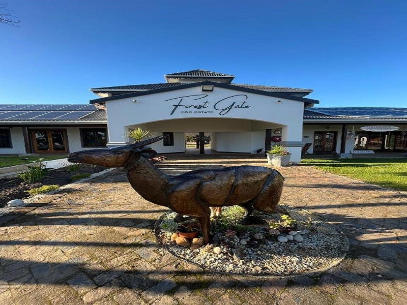 Vacation Hub International - VHI - Travel Club - Forest Gate Estate