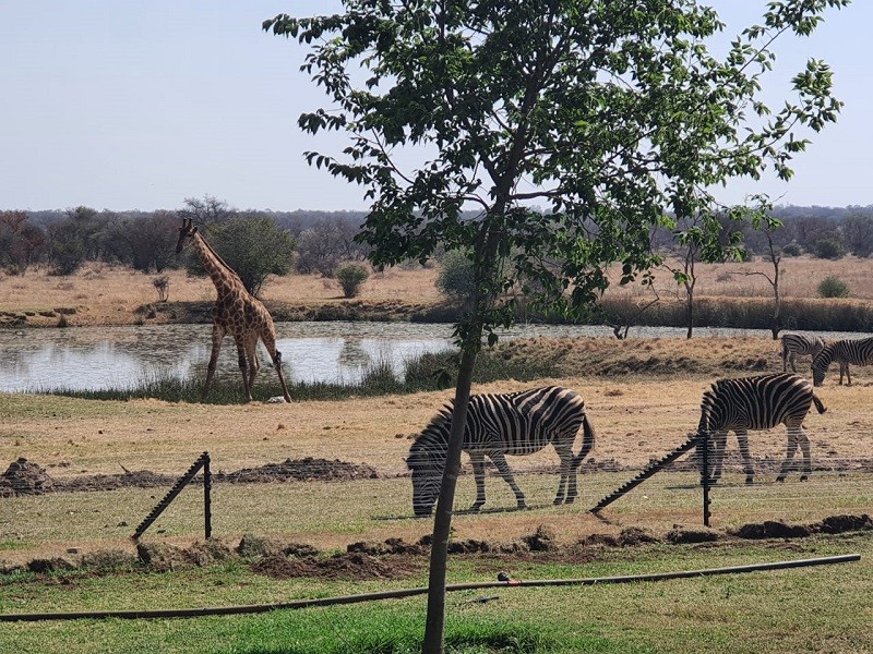 Vacation Hub International - VHI - Travel Club - Wild & Water