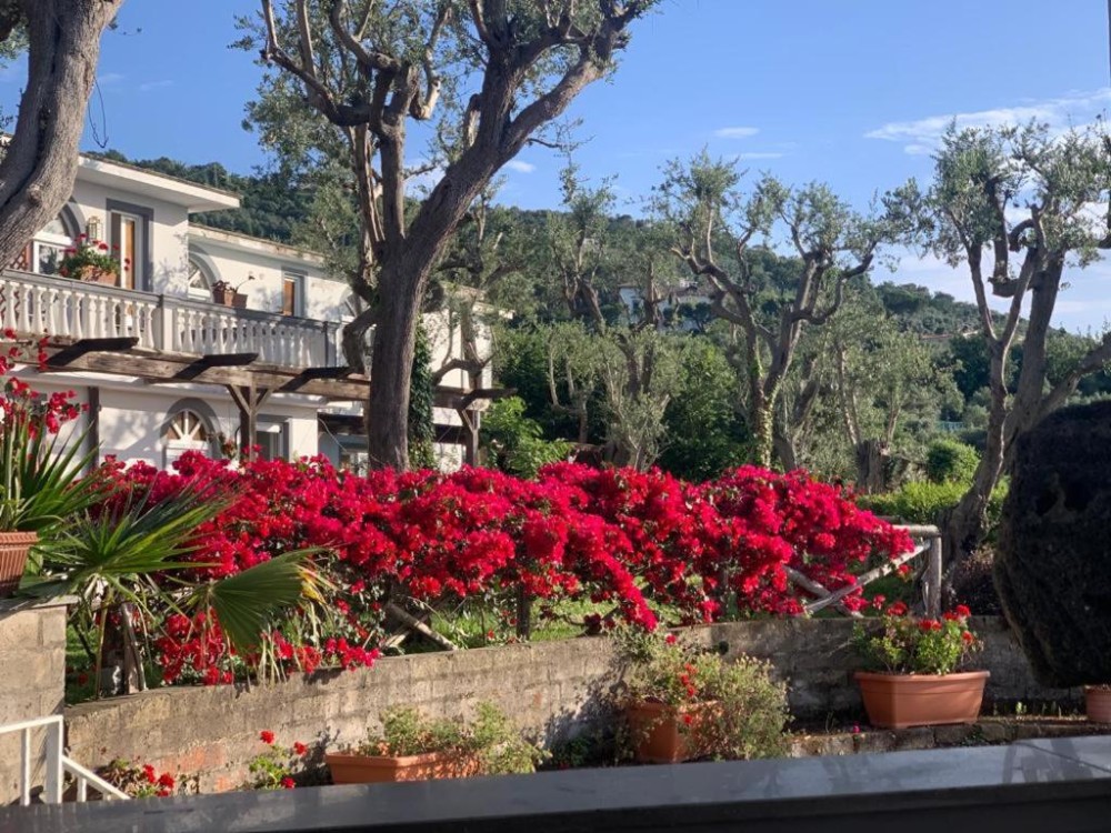 Vacation Hub International - VHI - Travel Club - Villa Giovanna