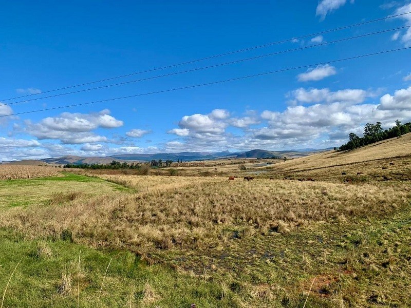Vacation Hub International - VHI - Travel Club - Frankie Cottage