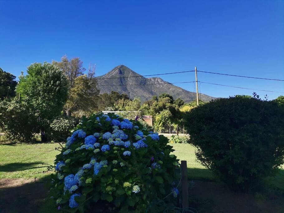 Vacation Hub International - VHI - Travel Club - Next to Heaven Guesthouse