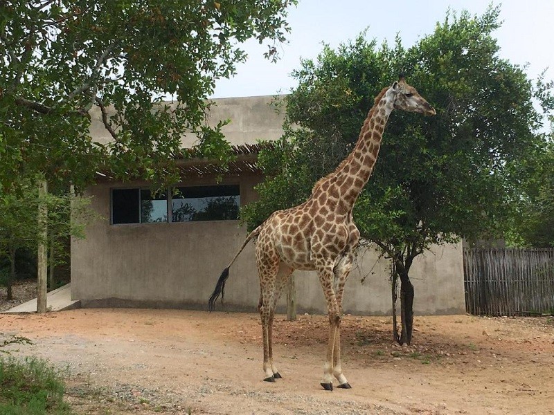 Vacation Hub International - VHI - Travel Club - Nextdoor Kruger