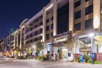  Vacation Hub International | Royal Palm Hotel Main