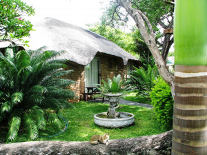  Vacation Hub International | Mufasa Lodge Main