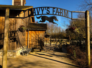  Vacation Hub International | Disney's Davy Crockett Ranch Main