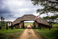  Vacation Hub International | Gwahumbe Game Lodge & Spa Main