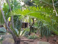  Vacation Hub International | 440@Brooklyn Main