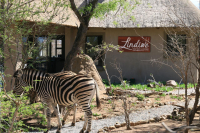  Vacation Hub International | Lindiwe Safari Lodge Main