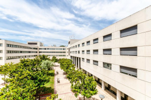  Vacation Hub International | Hotel Exe Campus Main