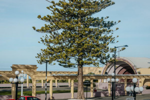  Vacation Hub International | Art Deco Masonic Hotel Main