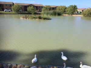  Vacation Hub International | DCS Accommodation Cape Gate Main