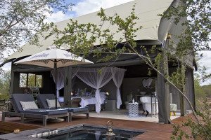  Vacation Hub International | Raptor Retreat Game Lodge Main