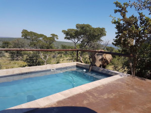  Vacation Hub International | Wild Ivory Game Lodge Main