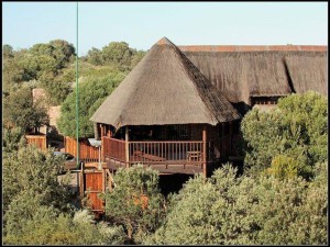  Vacation Hub International | Amanzi Game Reserve Main