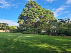  Vacation Hub International | The Old Cabin Main