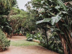 Vacation Hub International - VHI - Travel Club - The Blue Door Guesthouse