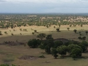 Vacation Hub International - VHI - Travel Club - Lobo Wildlife Lodge