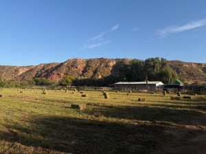 Vacation Hub International - VHI - Travel Club - Soeterus Guest Farm