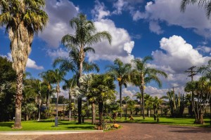 Vacation Hub International - VHI - Travel Club - Palmera Guest House