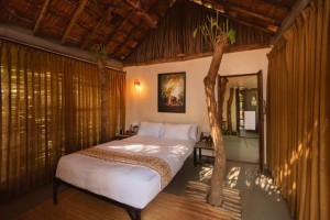 Vacation Hub International - VHI - Travel Club - Orchid Tree