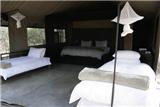  Vacation Hub International | Honeyguide Khoka Moya Camp Room