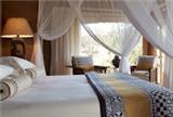  Vacation Hub International | Makweti Safari Lodge Room