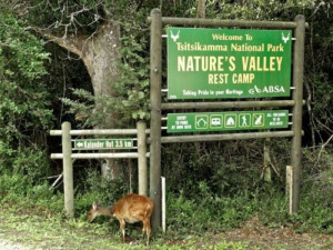  Vacation Hub International | Nature's Valley Rest Camp Room