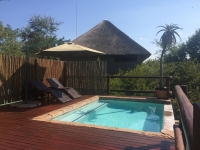  Vacation Hub International | Bushwise Safari's and Lodge Room