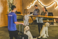  Vacation Hub International | Whitney Peak Hotel Room