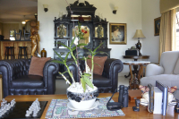  Vacation Hub International | GinaZ BnB - Acacia Suite Room