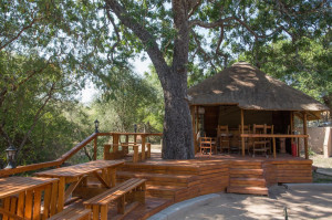  Vacation Hub International | Lion Tree Top Lodge Room