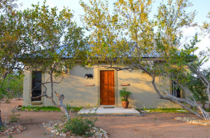  Vacation Hub International | The Baobab Bush Lodge Room