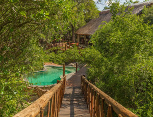  Vacation Hub International | Panzi Lodge Room