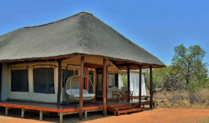  Vacation Hub International | Safari Plains Room