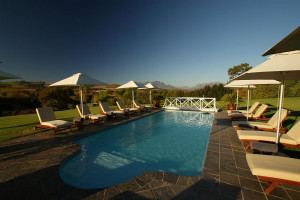  Vacation Hub International | Cultivar Boutique Hotel Room