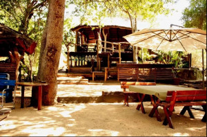  Vacation Hub International | Off Beat Safaris Bush Lodge Room