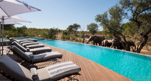  Vacation Hub International | &beyond Ngala Safari Lodge Room