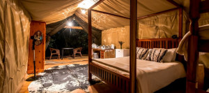  Vacation Hub International | Buffalo Drift- Glamping Tents Room